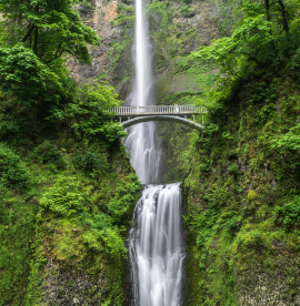 blake-verdoorn-cssvEZacHvQ-unsplash