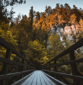 footbridge-amidst-trees-autumn
