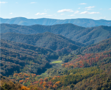 gorgeous-fall-colors-in-the-artikutza-natural-park